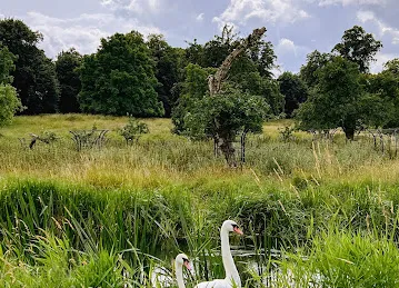 National Trust - Charlecote Park
