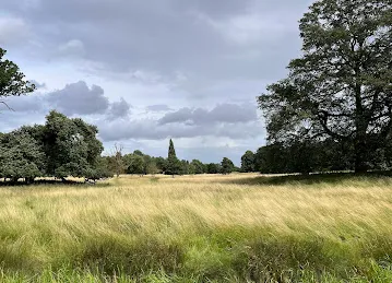 National Trust - Charlecote Park