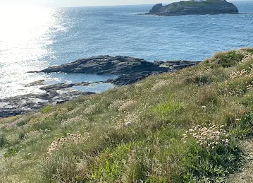 National Trust - Godrevy
