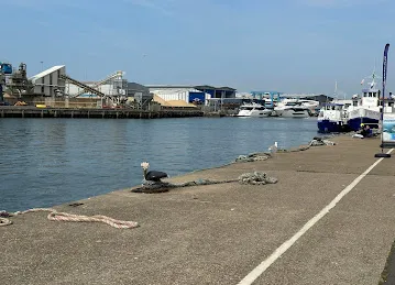 Poole Quay